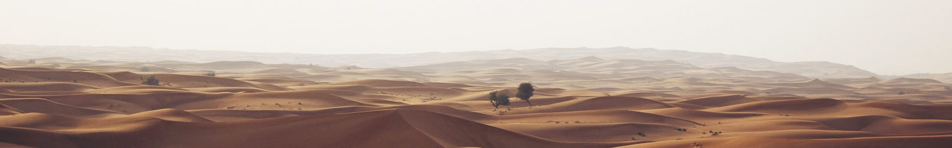廷ľ޹˾